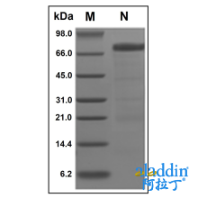 Recombinant Human HVEM/TNFRSF14 Protein