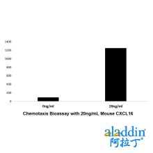 Recombinant Mouse CXCL16 Protein