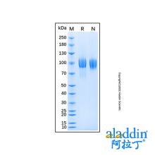Recombinant Mouse EGFR Protein