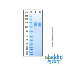Recombinant Mouse Leptin R Protein