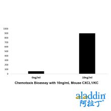 Recombinant Mouse CXCL1/KC Protein