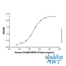 Recombinant Human ErbB2/HER2 Protein