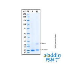 Recombinant Feline CD3 Protein