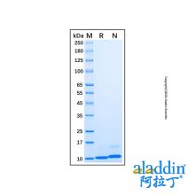 Recombinant Mouse CXCL1/KC Protein