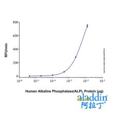Recombinant Human Alkaline Phosphatase/ALPL Protein