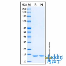 Recombinant Mouse IL-1 alpha/IL-1F1 Protein
