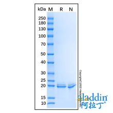 Recombinant Mouse FGF-21 Protein