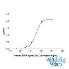 Recombinant Human CD47 Protein