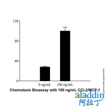 Recombinant Human CCL2/MCP-1 Protein
