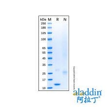 Recombinant Mouse IL-31 Protein