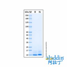 Recombinant Mouse CXCL2 Protein