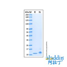 Recombinant Porcine IL-8/CXCL8 Protein