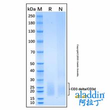 Recombinant Human CD3 delta/CD3d Protein