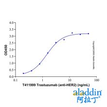 Recombinant Human ErbB2/Her2 Protein