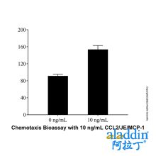 Recombinant Rat CCL2/JE/MCP-1 Protein