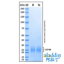 Recombinant Human CD160 Protein