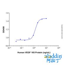 Recombinant Human VEGF 165 Protein