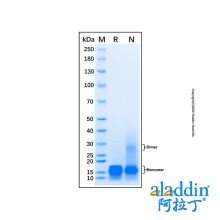 Recombinant Mouse CXCL17/VCC-1 Protein