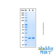 Recombinant Human KRAS (G12A) Protein