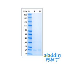 Recombinant Mouse FGF basic/FGF2/bFGF Protein