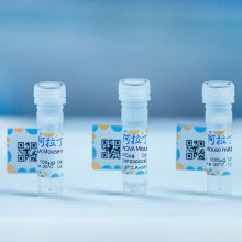 Gold Multiplex PCR Mix