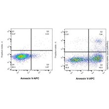 Annexin V-APC/PI 细胞凋亡检测试剂盒