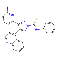 83-01（DMSO溶液