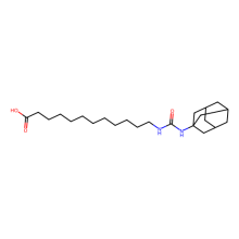 AUDA