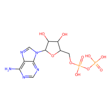 腺苷-5’-二磷酸
