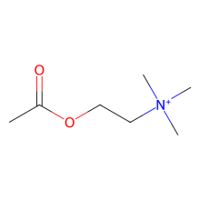 Acetylcholine