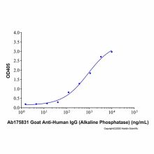 Goat Anti-Human IgG (Alkaline Phosphatase)