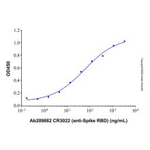 CR3022 (anti-Spike RBD)