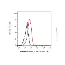 Imclone 6.64 (anti-VEGFR2)