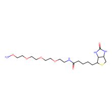 生物素-PEG3-氧胺 盐酸盐