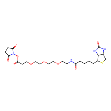生物素-PEG3-NHS酯