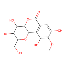 岩白菜素