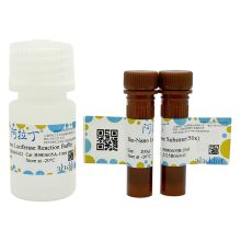 Bio-Nano萤光素酶报告基因检测试剂盒