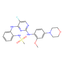 CZC 25146