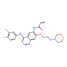 Canertinib (CI-1033)