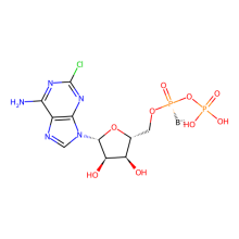 2-Cl-ADP(α-BH₃)