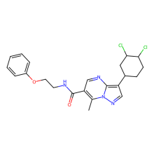 3-(3,4-dichlorocyclohexyl)-7-methyl-N-(2-phenoxyethyl)pyrazolo[1,5-a]pyrimidine-6-carboxamide