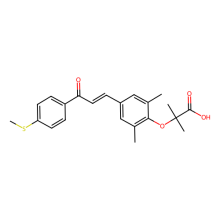 Elafibranor