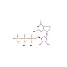 鸟苷-5'-三磷酸二钠盐