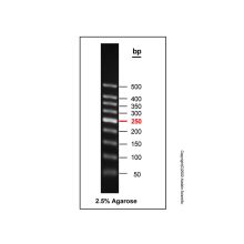 Gelred-prestained DNA Ladder (50-500bp)
