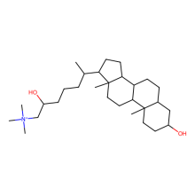 lithocholylcholine