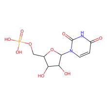 聚尿苷酸钾盐