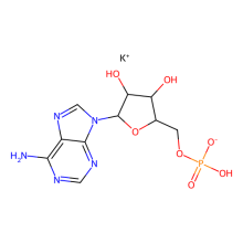 聚腺苷酸钾盐