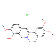 盐酸巴马汀