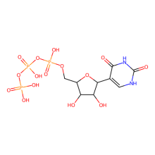Pseudo UTP 三钠盐 溶液