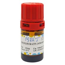 线性PEI转染试剂 (MW40000), 转染级别